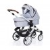 Коляска 2 в 1 FD Design Salsa 4